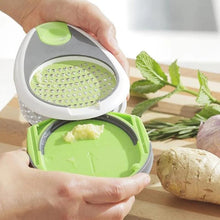 Load image into Gallery viewer, Stainless steel ginger