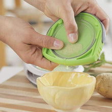 Load image into Gallery viewer, Stainless steel ginger