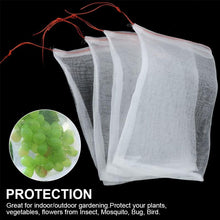Load image into Gallery viewer, Nylon Fruit Exclusion Bags (100PCS)