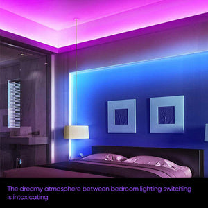 Music Sync Color Changing Strip Lights with Remote and App Control