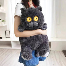 Load image into Gallery viewer, Cute Blue Cat Plush Doll