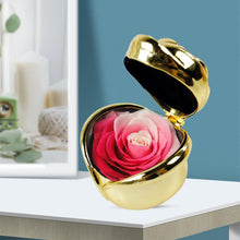 Load image into Gallery viewer, Preserved Flower Rose