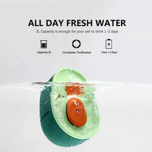 Load image into Gallery viewer, Avocado Water Fountain