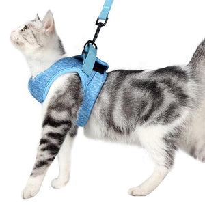 Cat Vest Harness and Leash