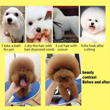 Load image into Gallery viewer, Professional Dog Grooming Scissors Set