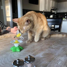 Load image into Gallery viewer, Interactive Bird Toy For Cats