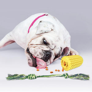 Pet Teeth Grinding Toy