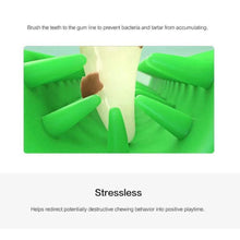 Load image into Gallery viewer, Pet Dog Toothbrush
