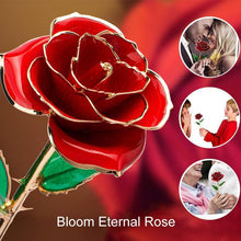 Load image into Gallery viewer, Bloom Eternal 24K Gold Rose