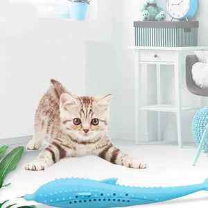 Interactive Cat Dental Toy