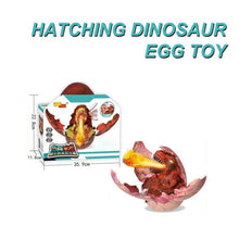Load image into Gallery viewer, Hatching Dinosaur Egg Toy