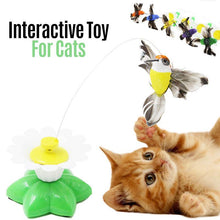 Load image into Gallery viewer, Interactive Bird Toy For Cats