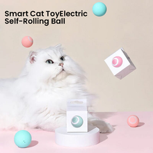 Load image into Gallery viewer, 2 in 1 Simulated Interactive Hunting Cat Toy