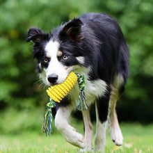 Load image into Gallery viewer, Pet Teeth Grinding Toy