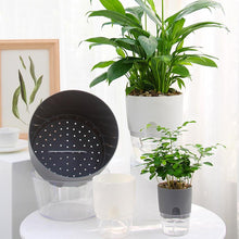 Load image into Gallery viewer, Self-watering Eco Pot