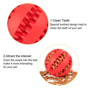 Dog Chewing Rubber Ball