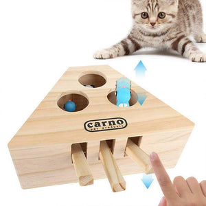 Cat Hunt Toy