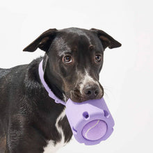 Load image into Gallery viewer, 🐶🐱Haustiere Tennis Spielzeug