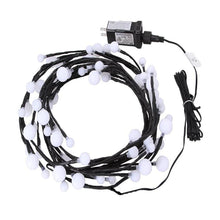 Load image into Gallery viewer, Branch Rattan String Lights