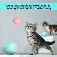 Load image into Gallery viewer, 2 in 1 Simulated Interactive Hunting Cat Toy