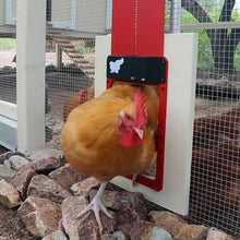 Load image into Gallery viewer, Poultry Farm Automatic Chicken House Door