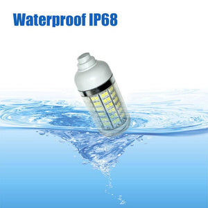 Multi-functional Fishing LED Light