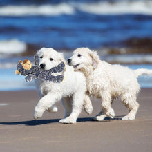 Load image into Gallery viewer, 🐶Indestructible Robust Bear