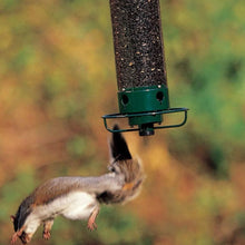 Load image into Gallery viewer, Squirrel-Proof Bird Feeder