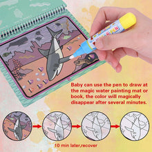 Load image into Gallery viewer, Reusable Water-Painting Books