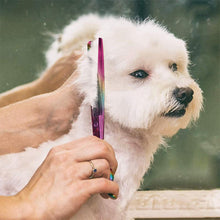 Load image into Gallery viewer, Professional Dog Grooming Scissors Set