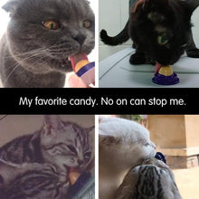 Load image into Gallery viewer, Cat Snack Nutrition Candy Ball
