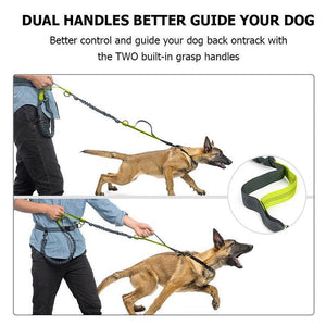 Handsfree Elastic Bungee Dog Leash