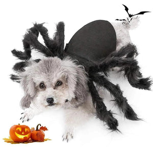 Spider Costume for Pets