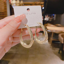 Load image into Gallery viewer, Fashion Oval Earrings