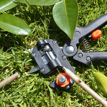 Load image into Gallery viewer, Domom® Professional Garden Grafting Tool Kit