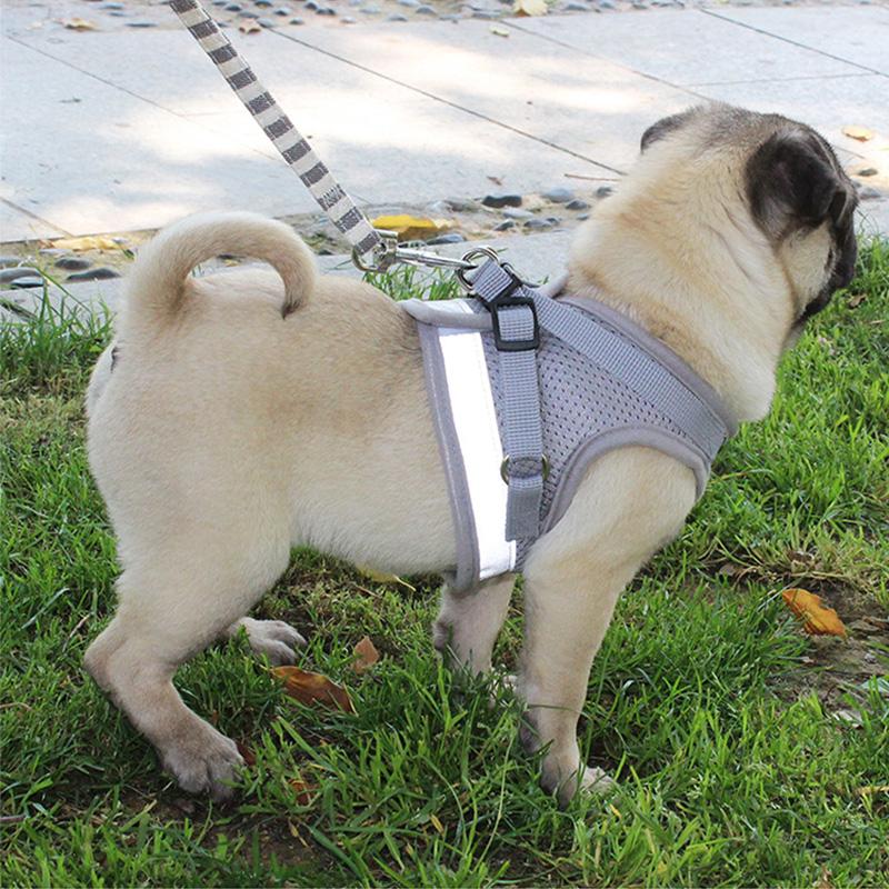 Pet Reflective Chest Strap