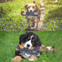 Load image into Gallery viewer, 🐶Indestructible Robust Bear