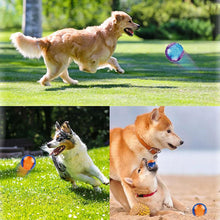 Load image into Gallery viewer, Dog Rubber Molar Toy