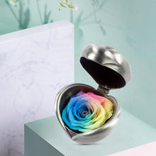 Load image into Gallery viewer, Preserved Flower Rose