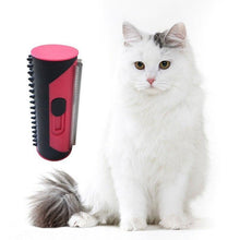 Load image into Gallery viewer, 2 in 1 Design Pet Hair Brush