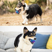 Load image into Gallery viewer, Dog Rubber Molar Toy