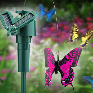 Solar Dancing Hummingbird & Butterfly