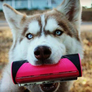 2 in 1 Design Pet Hair Brush