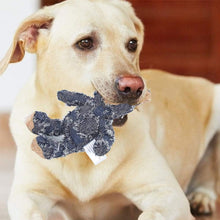 Load image into Gallery viewer, 🐶Indestructible Robust Bear