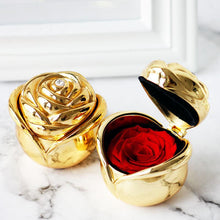 Load image into Gallery viewer, Preserved Flower Rose