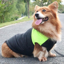 Load image into Gallery viewer, Winter Thickened Dog Clothing