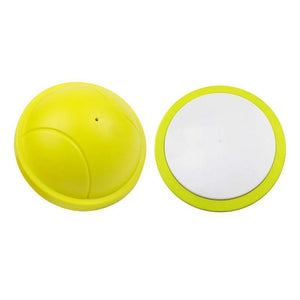 Indoor Gliding Squeaky Dog Toy