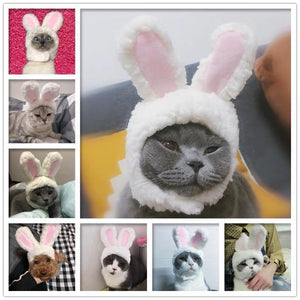 Cat Bunny Ears🔥